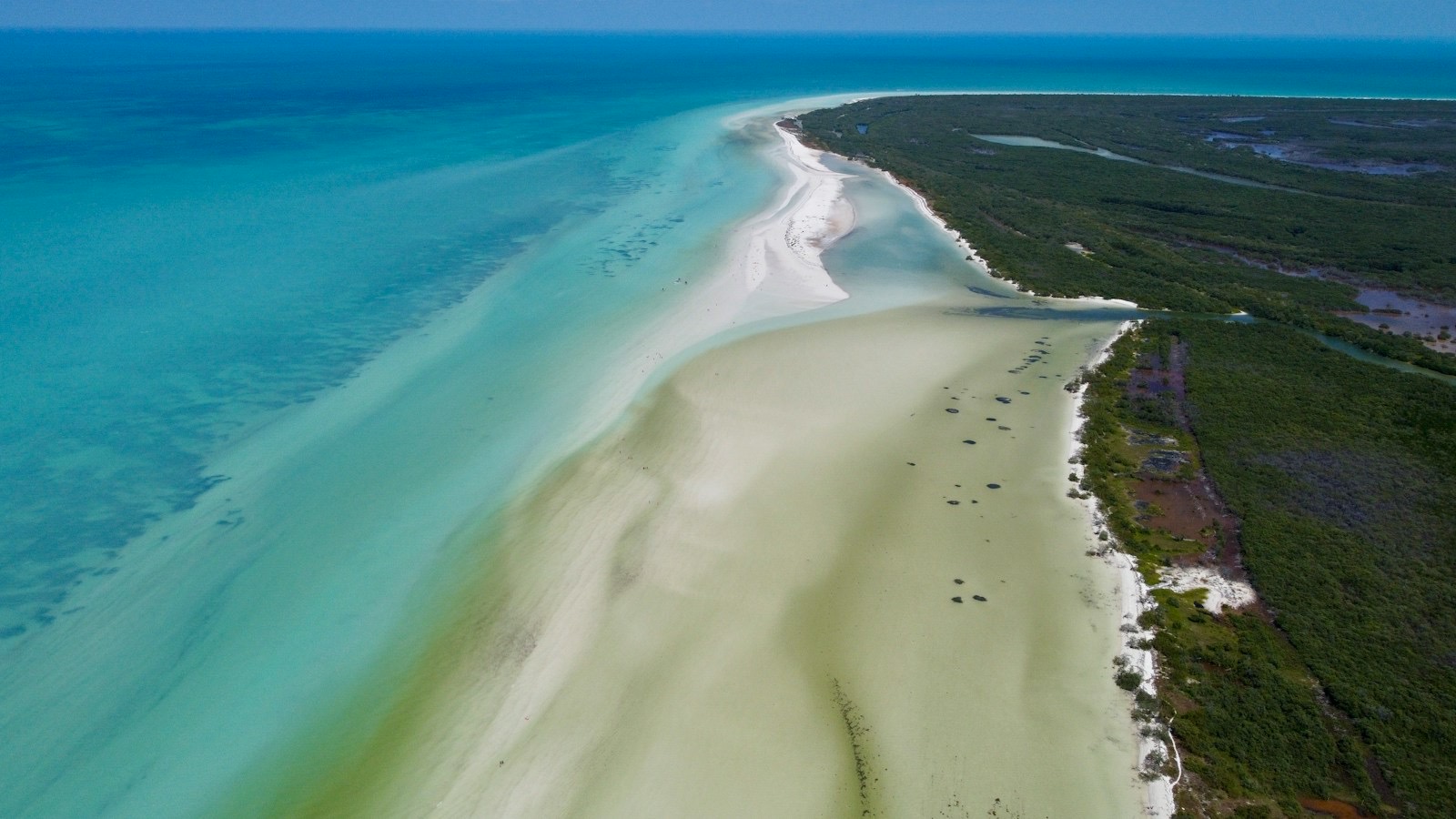 Holbox